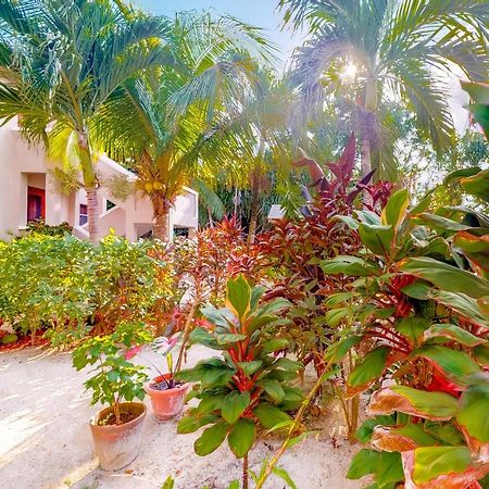 شقة Casa Tranquilidad سان بيدرو المظهر الخارجي الصورة