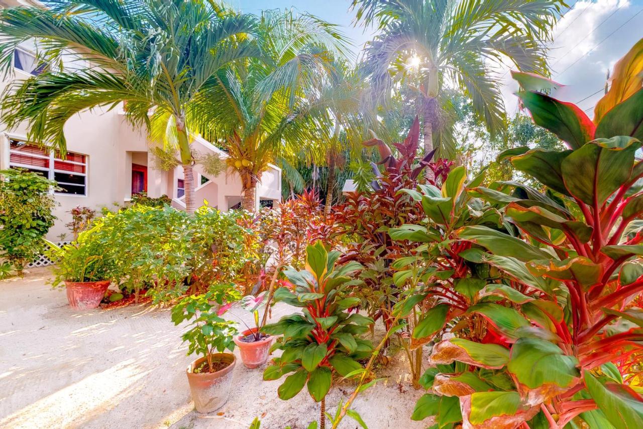 شقة Casa Tranquilidad سان بيدرو المظهر الخارجي الصورة